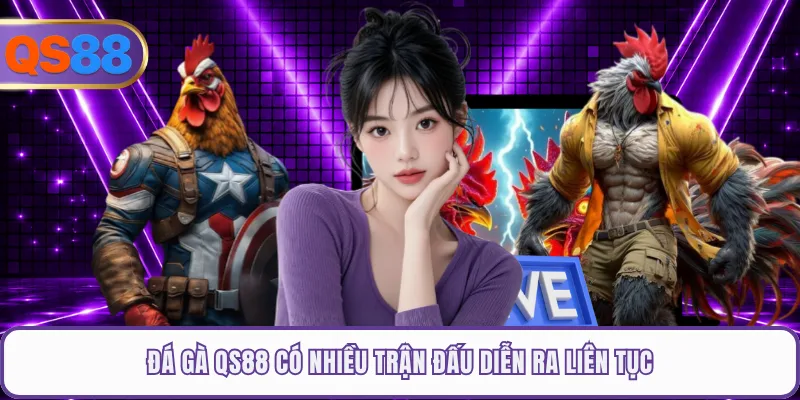 Đá gà QS88 có nhiều trận đấu diễn ra liên tục
