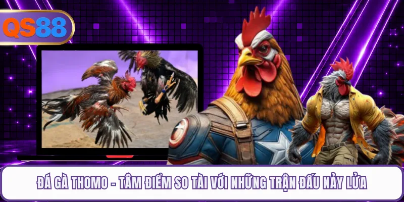 Đá Gà Thomo - Tâm Điểm So Tài Với Những Trận Đấu Nảy Lửa