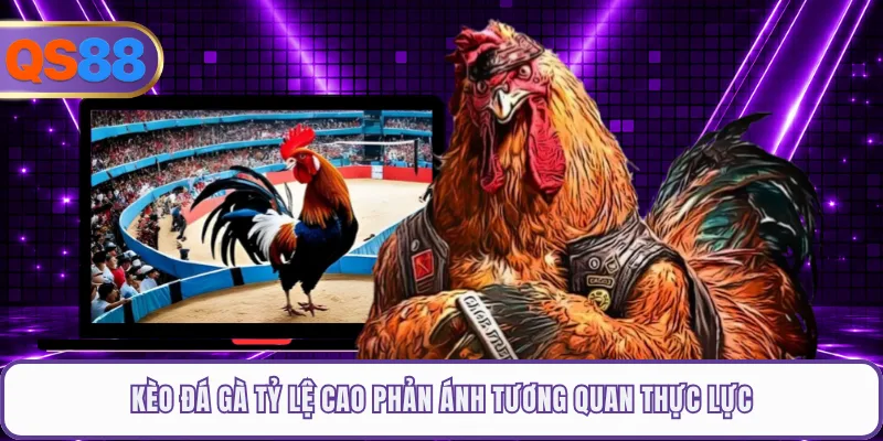 Kèo đá gà tỷ lệ cao phản ánh tương quan thực lực