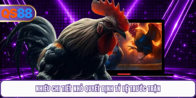 Nhiều chi tiết nhỏ quyết định tỷ lệ trước trận