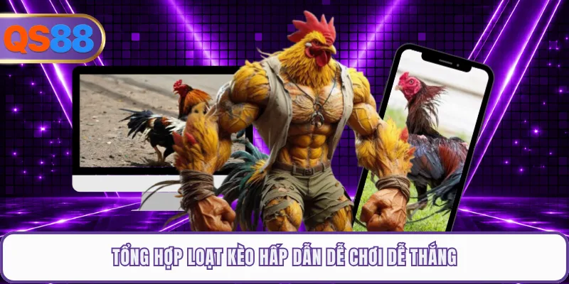 Tổng hợp loạt kèo hấp dẫn dễ chơi dễ thắng