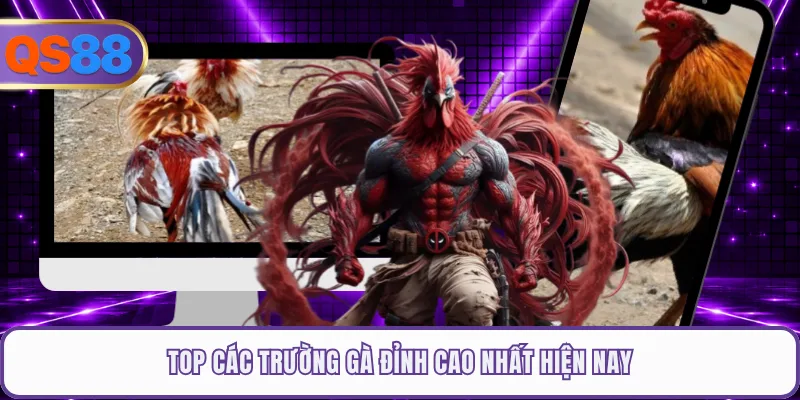 Top các trường gà đỉnh cao nhất hiện nay